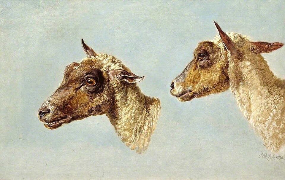 Study of Sheeps’ Heads by James Ward